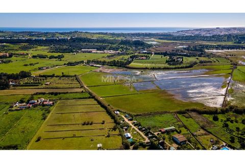 Helårsgrund i Lagos, Faro, Lagos - € 299.500 | Ref: T314 - foto 17
