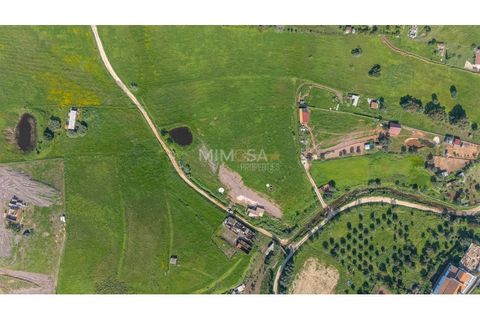 Villa i Bensafrim, Faro, Bensafrim - € 430.000 | Ref: T335 - foto 3
