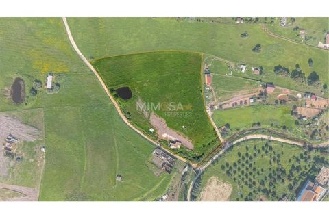 Villa i Bensafrim, Faro, Bensafrim - € 430.000 | Ref: T335 - foto 4