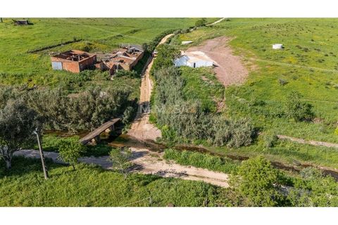 Villa i Bensafrim, Faro, Bensafrim - € 430.000 | Ref: T335 - foto 9
