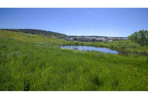 Villa i Bensafrim, Faro, Bensafrim - € 430.000 | Ref: T335 - foto 25