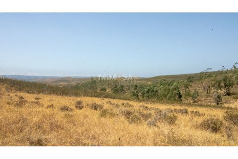 Helårsgrund i Bensafrim, Faro, Bensafrim - € 750.000 | Ref: VM1163 - foto 9
