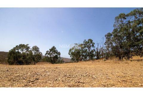 Helårsgrund i Bensafrim, Faro, Bensafrim - € 750.000 | Ref: VM1163 - foto 16