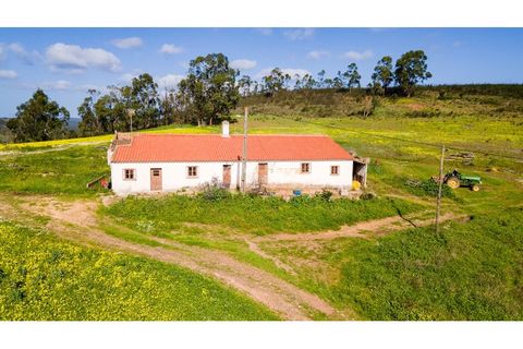 Helårsgrund i Bensafrim, Faro, Bensafrim - € 750.000 | Ref: VM1163 - foto 23