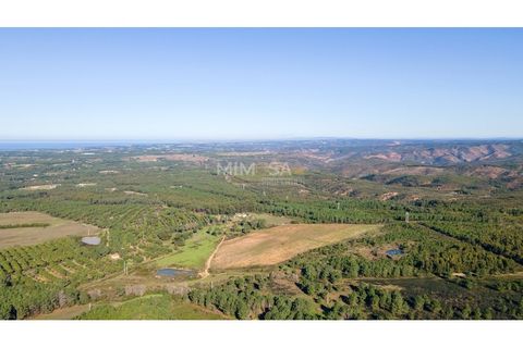 Villa a Aljezur, Faro, Aljezur - € 2.000.000 | Ref: T330-A - foto 16