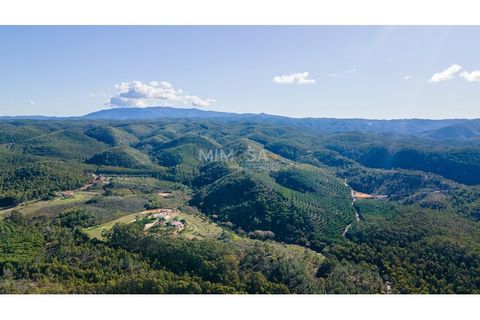 Villa a Aljezur, Faro, Aljezur - € 2.000.000 | Ref: T330-A - foto 17