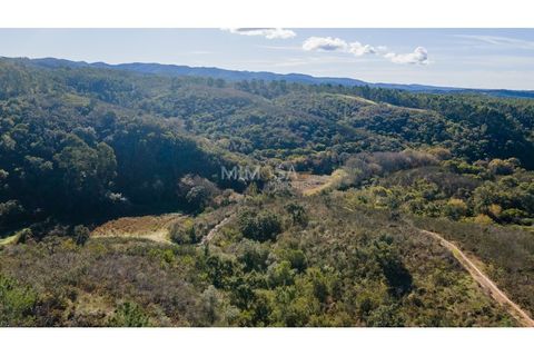 Villa a Aljezur, Faro, Aljezur - € 2.000.000 | Ref: T330-A - foto 18