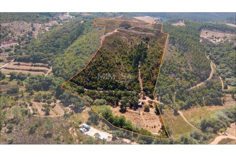 Landejendom i Rogil, Faro, Rogil - € 450.000 | Ref: T325 - foto 4