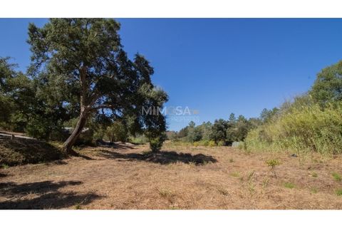 Landejendom i Rogil, Faro, Rogil - € 450.000 | Ref: T325 - foto 6