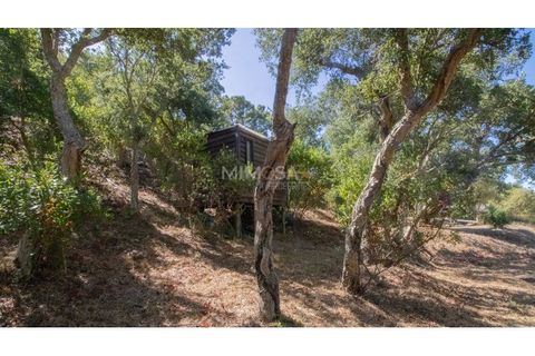 Landejendom i Rogil, Faro, Rogil - € 450.000 | Ref: T325 - foto 7