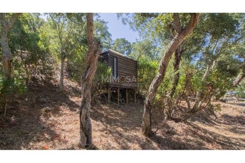 Landejendom i Rogil, Faro, Rogil - € 450.000 | Ref: T325 - foto 8