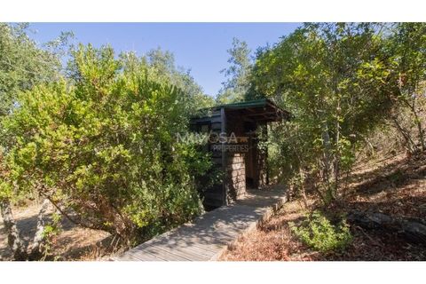Landejendom i Rogil, Faro, Rogil - € 450.000 | Ref: T325 - foto 9