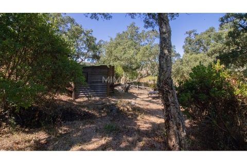 Landejendom i Rogil, Faro, Rogil - € 450.000 | Ref: T325 - foto 12