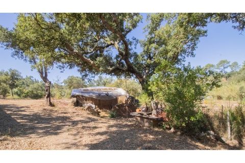 Landejendom i Rogil, Faro, Rogil - € 450.000 | Ref: T325 - foto 13