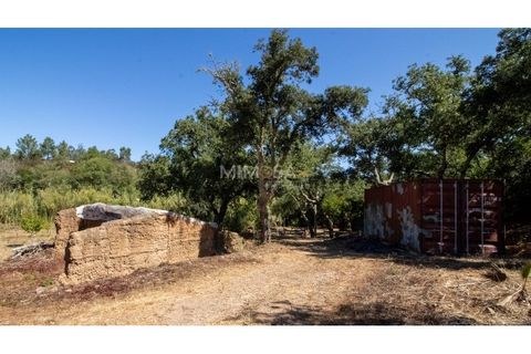 Landejendom i Rogil, Faro, Rogil - € 450.000 | Ref: T325 - foto 14