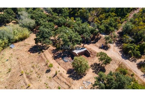 Landejendom i Rogil, Faro, Rogil - € 450.000 | Ref: T325 - foto 17