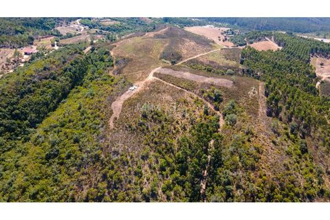 Landejendom i Rogil, Faro, Rogil - € 450.000 | Ref: T325 - foto 18