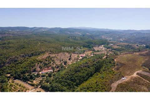 Landejendom i Rogil, Faro, Rogil - € 450.000 | Ref: T325 - foto 19