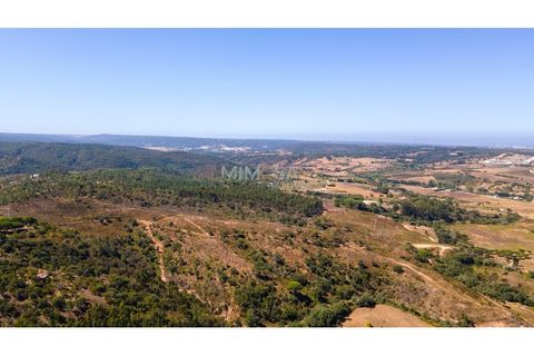 Landejendom i Rogil, Faro, Rogil - € 450.000 | Ref: T325 - foto 20