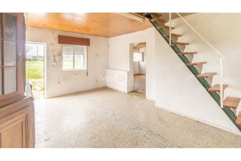 Farm i Lagos, Faro, Lagos - € 790.000 | Ref: VM1205 - foto 4