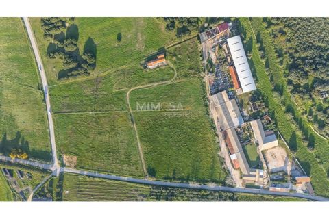 Farm i Lagos, Faro, Lagos - € 790.000 | Ref: VM1205 - foto 16