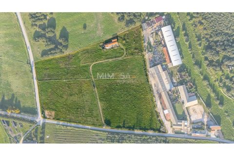 Farm i Lagos, Faro, Lagos - € 790.000 | Ref: VM1205 - foto 17
