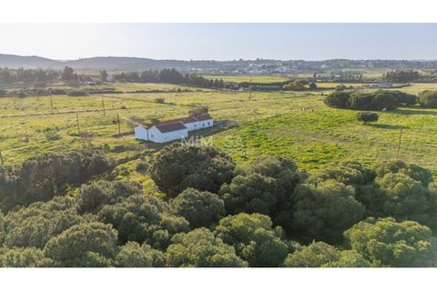 Farm i Lagos, Faro, Lagos - € 790.000 | Ref: VM1205 - foto 21
