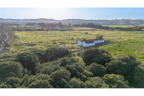 Farm i Lagos, Faro, Lagos - € 790.000 | Ref: VM1205 - foto 22