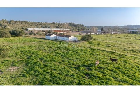 Farm i Lagos, Faro, Lagos - € 790.000 | Ref: VM1205 - foto 24