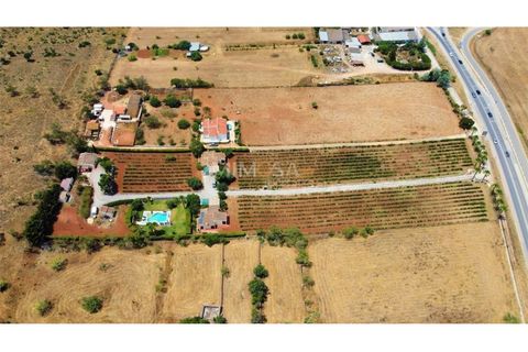 Farm i Luz, Faro, Luz - € 1.600.000 | Ref: VM969 - foto 2
