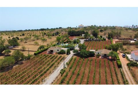 Farm i Luz, Faro, Luz - € 1.600.000 | Ref: VM969 - foto 3
