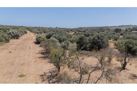 Helårsgrund i Sagres, Faro, Sagres - € 150.000 | Ref: T327 - foto 8