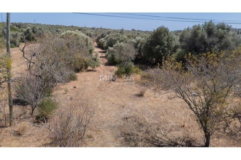 Helårsgrund i Sagres, Faro, Sagres - € 150.000 | Ref: T327 - foto 9