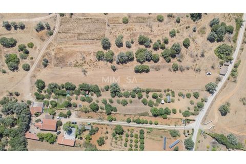 Helårsgrund i Sagres, Faro, Sagres - € 150.000 | Ref: T327 - foto 12