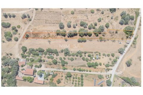 Helårsgrund i Sagres, Faro, Sagres - € 150.000 | Ref: T327 - foto 13