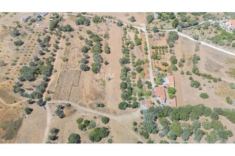 Helårsgrund i Sagres, Faro, Sagres - € 150.000 | Ref: T327 - foto 14