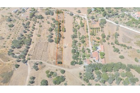 Helårsgrund i Sagres, Faro, Sagres - € 150.000 | Ref: T327 - foto 15