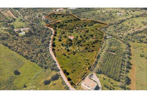 Farm i Lagos, Faro, Lagos - € 850.000 | Ref: VM960 - foto 2
