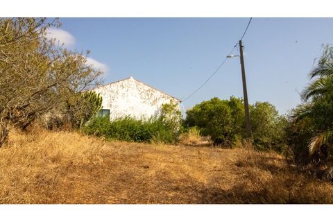 Farm i Lagos, Faro, Lagos - € 850.000 | Ref: VM960 - foto 4