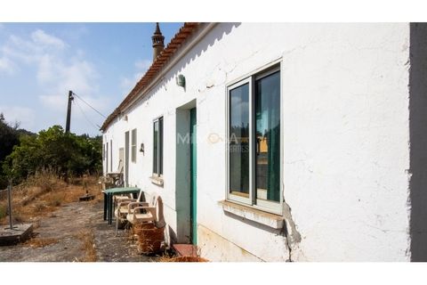 Farm i Lagos, Faro, Lagos - € 850.000 | Ref: VM960 - foto 5