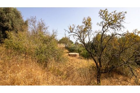 Farm i Lagos, Faro, Lagos - € 850.000 | Ref: VM960 - foto 7