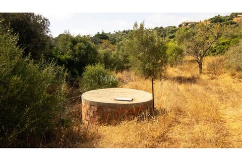 Farm i Lagos, Faro, Lagos - € 850.000 | Ref: VM960 - foto 8