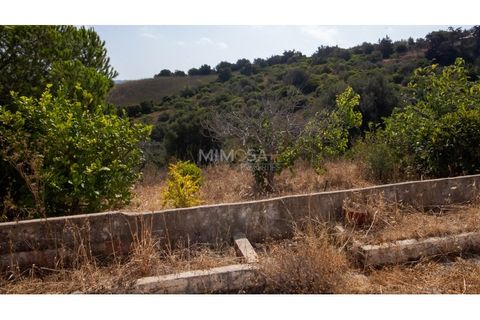 Farm i Lagos, Faro, Lagos - € 850.000 | Ref: VM960 - foto 9