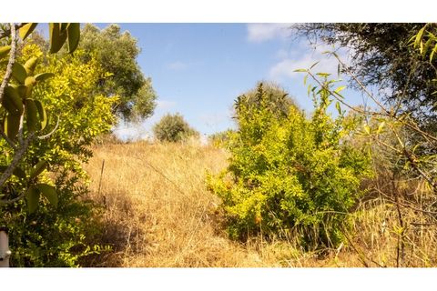 Farm i Lagos, Faro, Lagos - € 850.000 | Ref: VM960 - foto 10