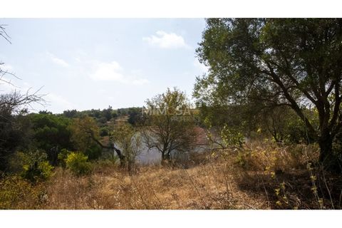 Farm i Lagos, Faro, Lagos - € 850.000 | Ref: VM960 - foto 11
