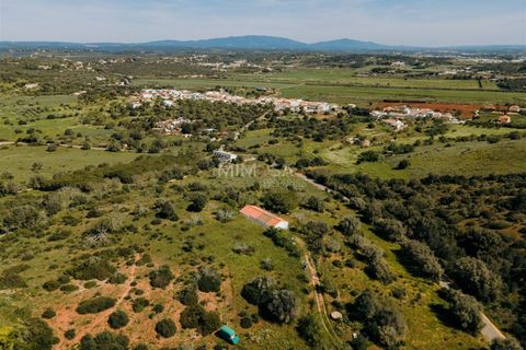 Farm i Lagos, Faro, Lagos - € 850.000 | Ref: VM960 - foto 13