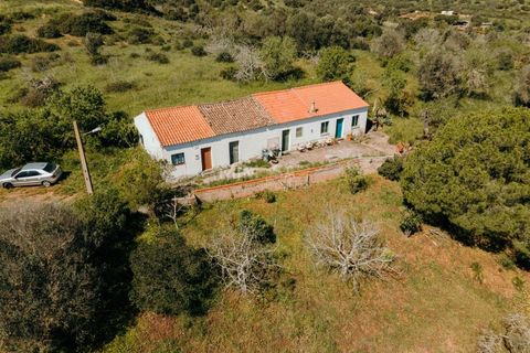 Farm i Lagos, Faro, Lagos - € 850.000 | Ref: VM960 - foto 15