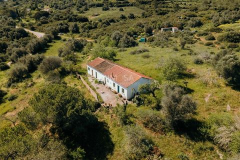 Farm i Lagos, Faro, Lagos - € 850.000 | Ref: VM960 - foto 16