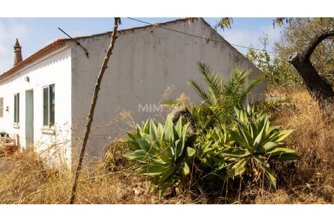 Farm i Lagos, Faro, Lagos - € 850.000 | Ref: VM960 - foto 17