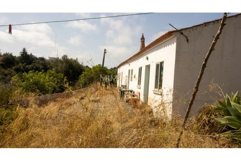 Farm i Lagos, Faro, Lagos - € 850.000 | Ref: VM960 - foto 18